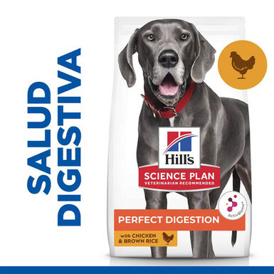 Hill’s Science Plan Perfect Digestion Adult large Pollo pienso para perros
